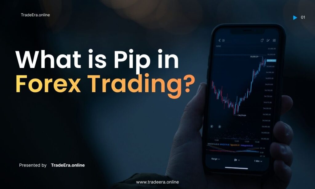 What is a Pip in Forex? 100 Pips Meaning?